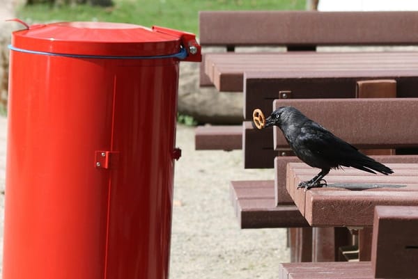 O impacto estratégico de engajar seu restaurante no combate ao desperdício de alimentos